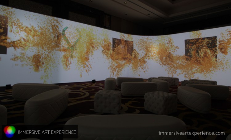 IMMERSIVE ART EXPERIENCE_00005
