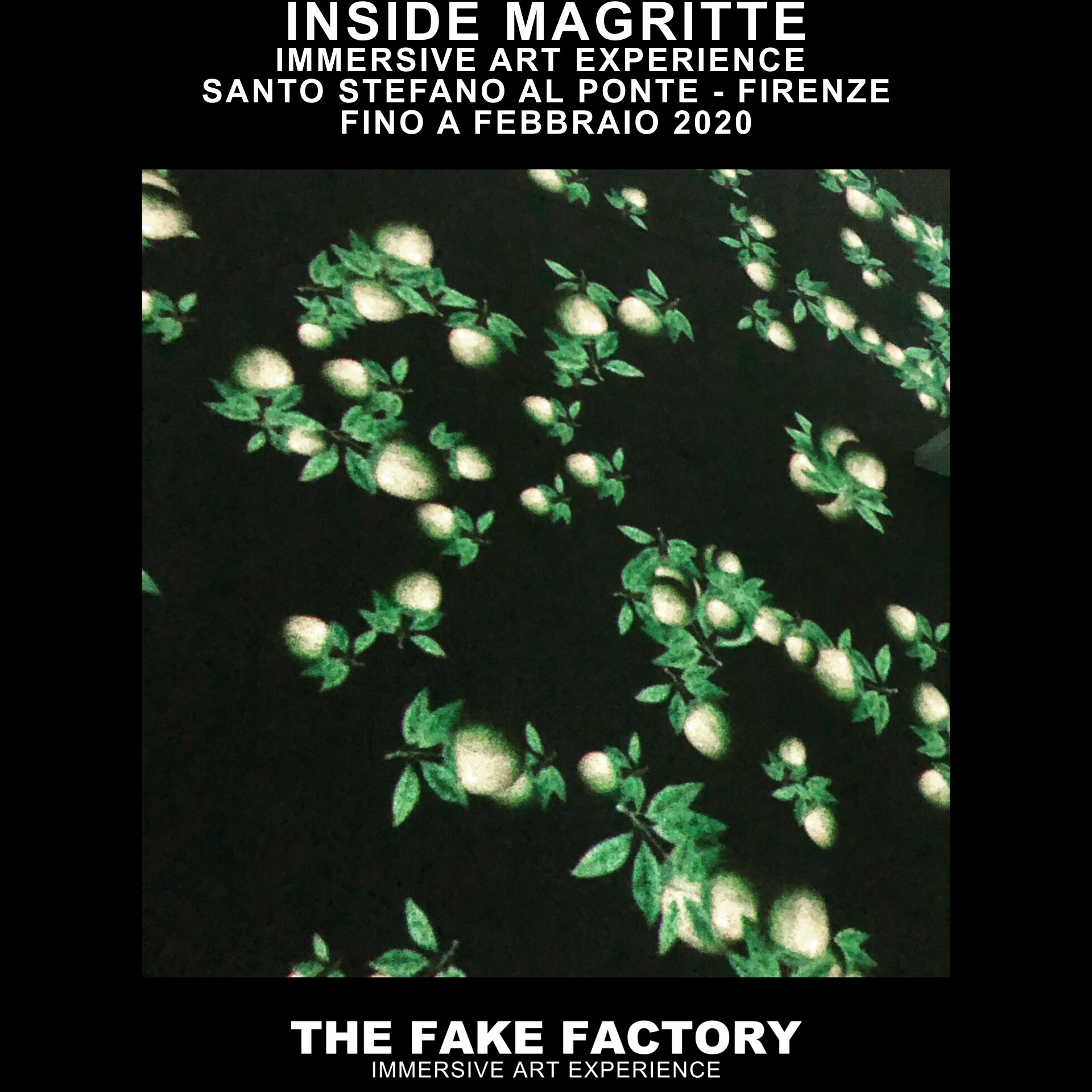 THE FAKE FACTORY MAGRITTE ART EXPERIENCE_00246