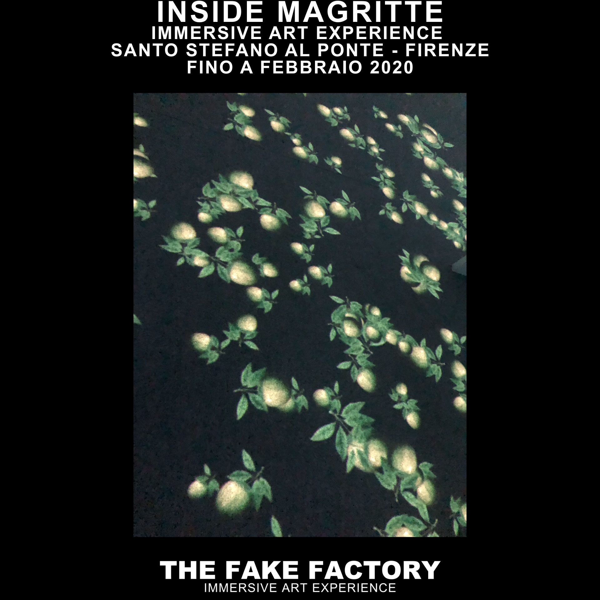THE FAKE FACTORY MAGRITTE ART EXPERIENCE_00657
